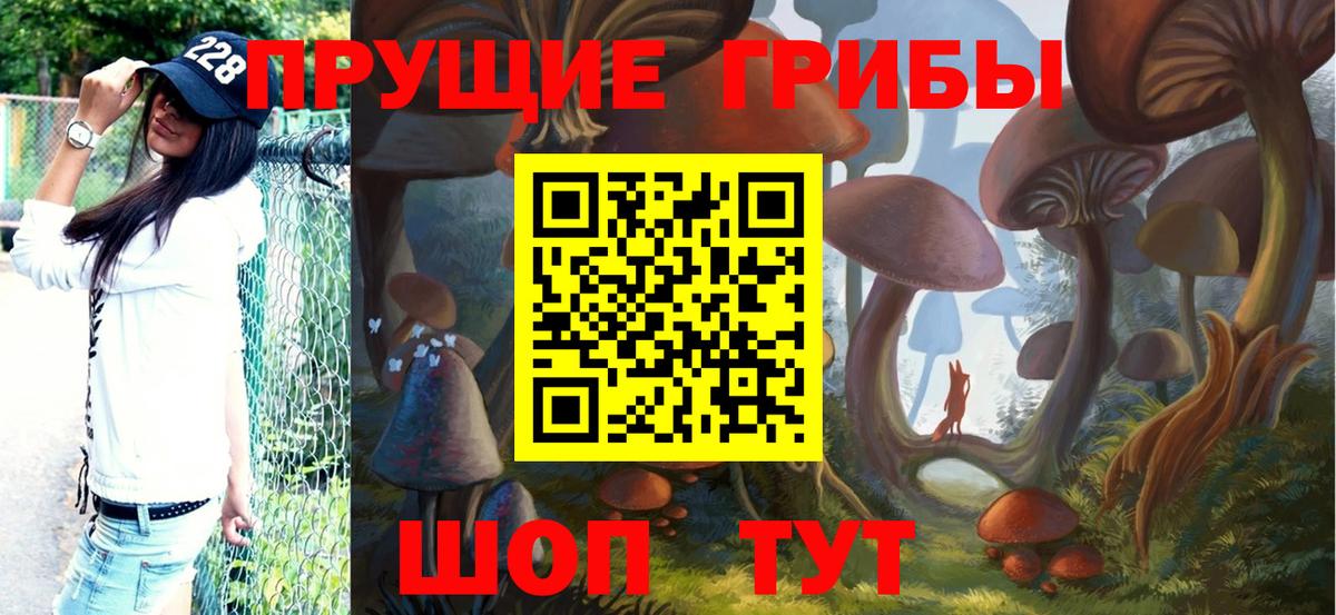 Псилоцибиновые грибы Psilocybe  Вход с VPN  Сызрань 