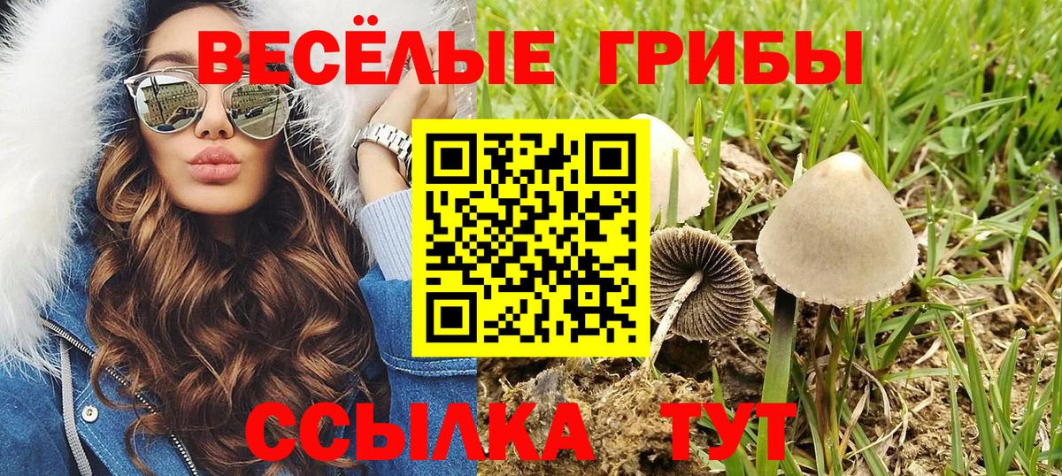 Псилоцибиновые грибы прущие грибы Сызрань